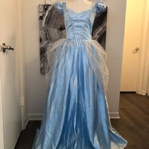 Cinderella Halloween costume